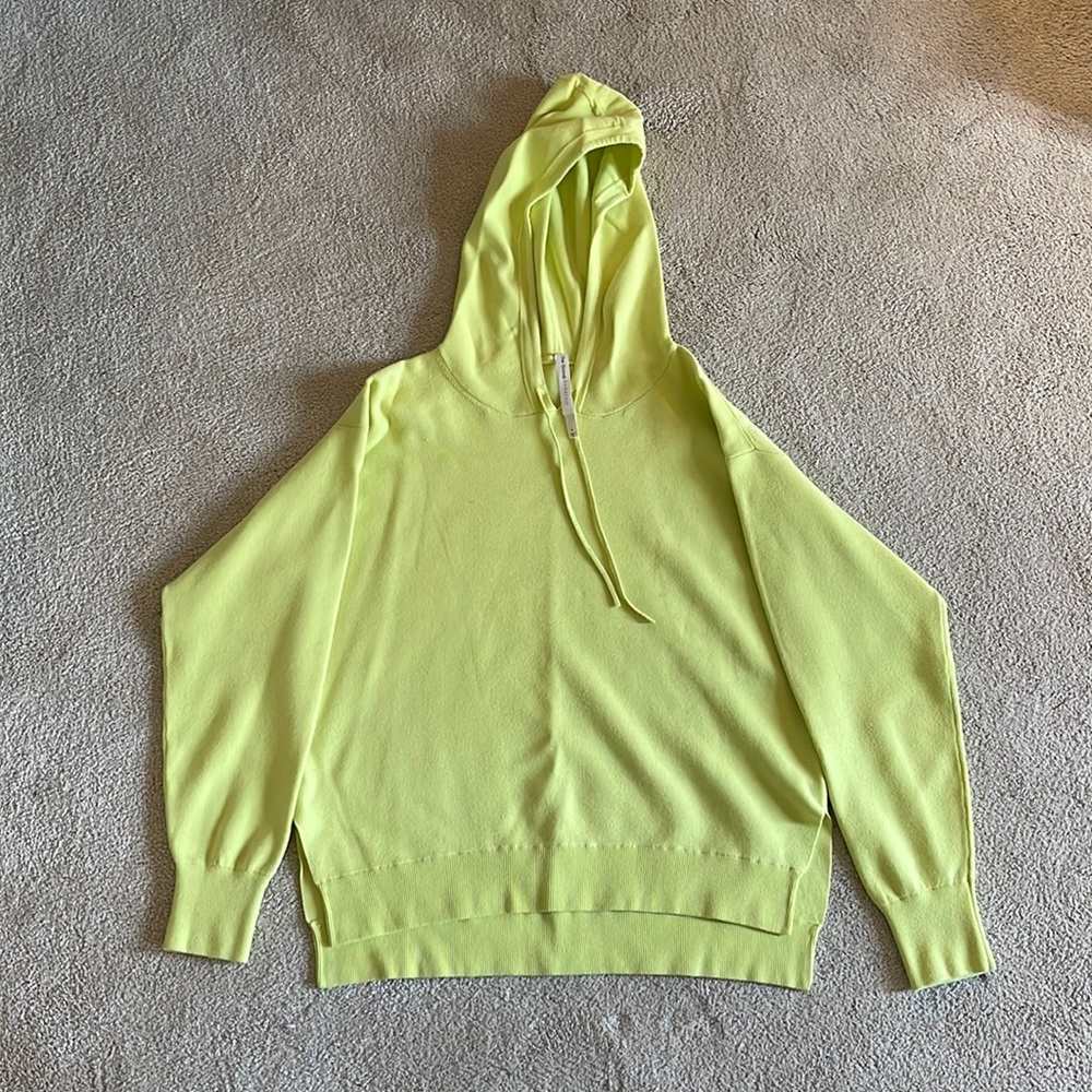 Baboton Hoodie from Aritzia. Size S.